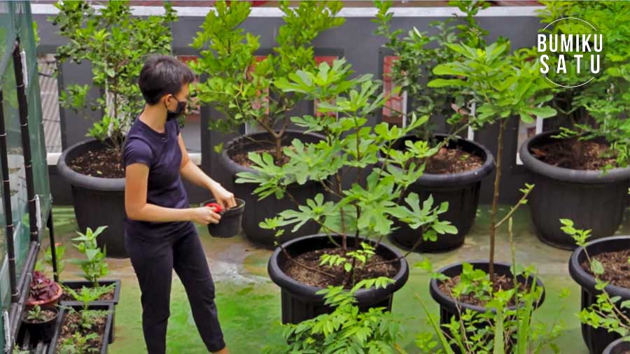 Terapi Kebun Penawar Sakit