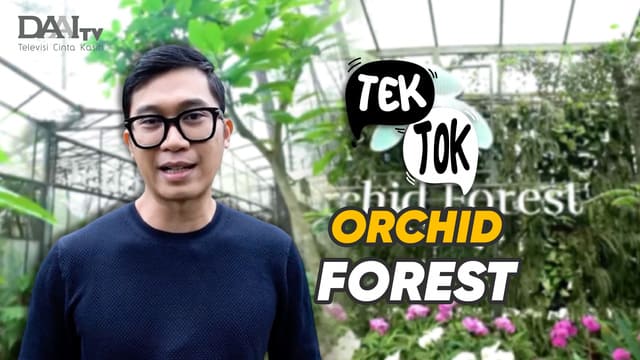 Tek Tok – Orchid Forest