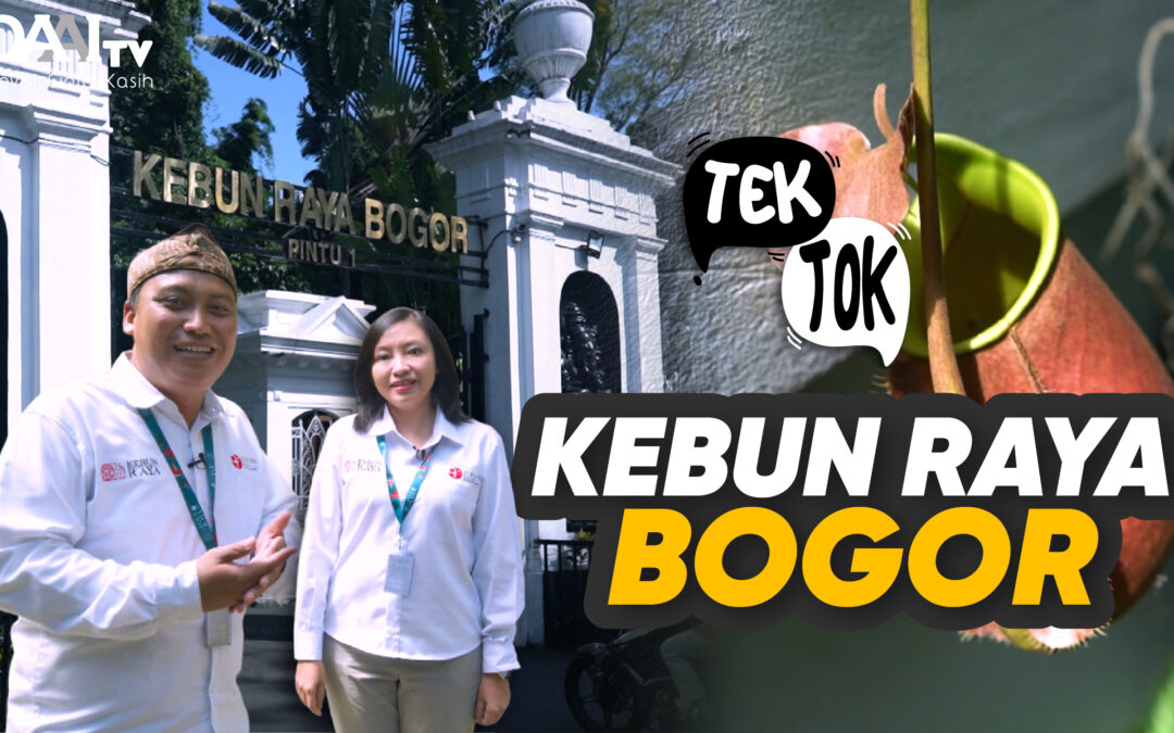 Tek Tok – Kebun Raya Bogor