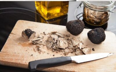 Kenalan dengan Truffle, Jamur Mewah Punya Banyak Manfaat