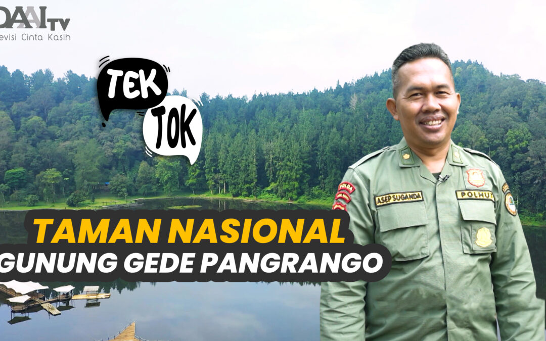 Tek Tok – Taman Nasional Gunung Gede Pangrango