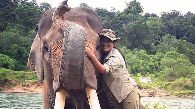 Kenalan dengan Erni Suyanti Musabine, Pahlawan Penyelamat Harimau Sumatra