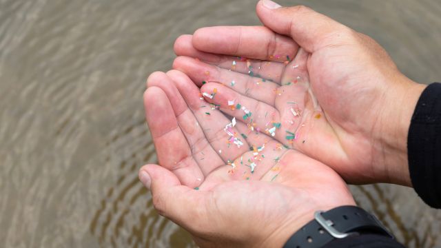 Masyarakat Indonesia Paling Banyak Konsumsi Mikroplastik, Apa Bahayanya?