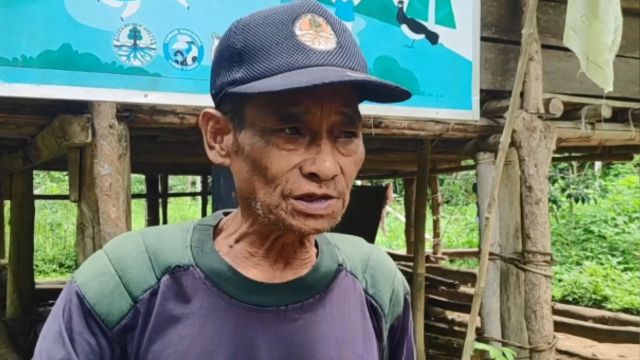 Jaga Hutan dan Lestarikan Nilai Adat, Said Tolao Bangun Sekolah Alam Toro di Tengah Hutan