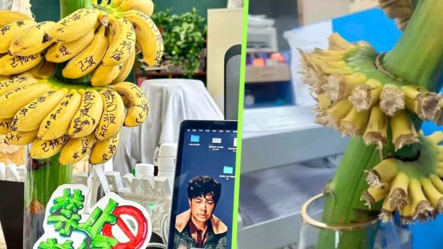 Redakan Stres, Pegawai di Tiongkok Tanam Pisang di dalam Kantor