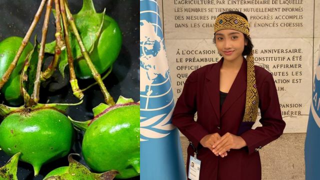 Go International! Mahasiswa asal Malang Buat Makanan Darurat dari Buah Mangrove