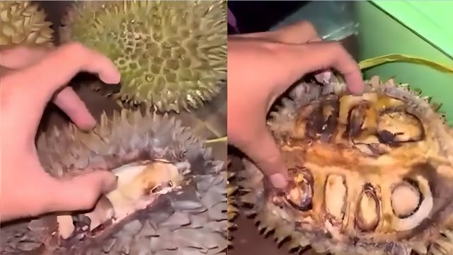 Viral Konsumen Beli “Duren Tewel” di Pasar, Begini Cara Pilih Durian yang Baik